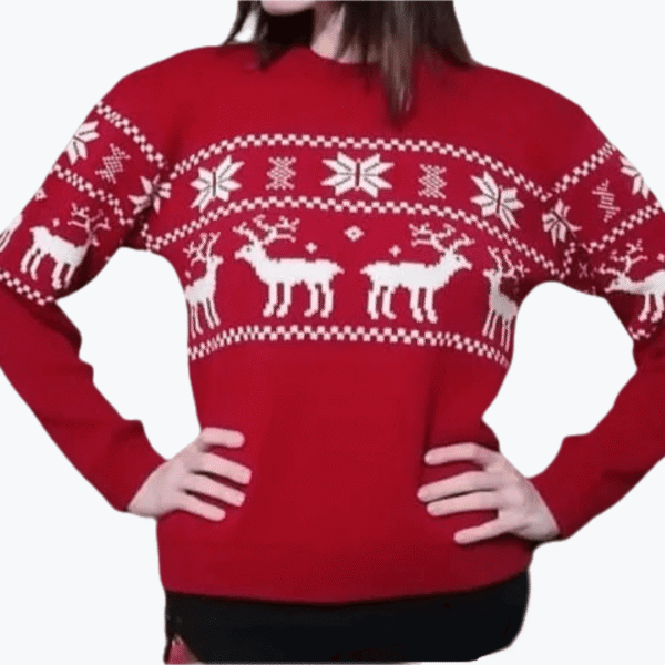 Christmas Dress